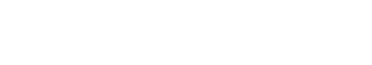 Stone Path Consulting