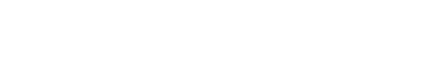 Stone Path Consulting